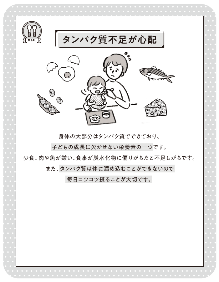 タンパク質不足が心配
