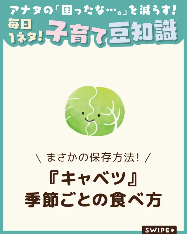 【『キャベツ』季節ごとの食べ方】

キャベツは加熱すると甘くやわらかくなり
子どもでも食べやすく、給食でも
幅広く使われる野菜です😋✨

ヨーロッパ原産として古くから
栽培され、日本には江戸時代末期に
伝わり明治以降に広まりました😲

今回は、キャベツの栄養素や保存方法
についてご紹介します。

ぜひ参考にしてみてくださいね👶🏻👧🏻👦🏻💕
.
.
꧁————————————————꧂

LEYON公式インスタグラムでは
アイテムやお得情報・子育てについてのコラムを更新中！

check!▷▶@leyon.official
プロフィールから商品詳細ページが確認できます👆

気になる投稿は保存で後からチェック✅
フォロー・いいねお待ちしております💕
꧁————————————————꧂

#キャベツ #キャベツの栄養 #離乳食
#暮らし #子どものいる生活 #育児 #育児中 #育児奮闘中 #育児ママ #育児パパ #育児の悩み #育児を楽しむ #育児グッズ #ベビーグッズ #子どもご飯 #レシピ #子どもの栄養 #野菜不足 #食物繊維 #新型栄養欠乏 #鉄分不足 #鉄分補給 #離乳食 #幼児食 #栄養満点 #タンパク質 #ブレインフード