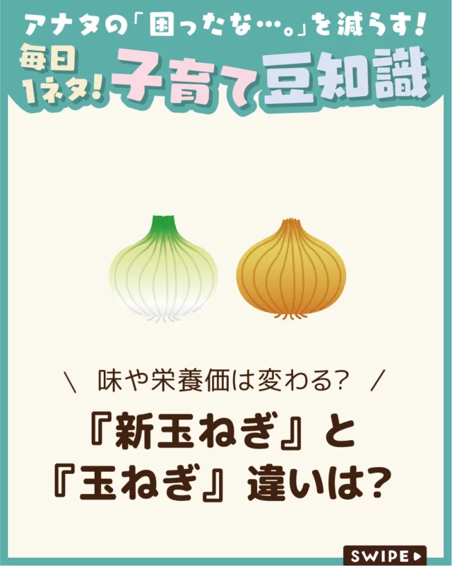 【『新玉ねぎ』と『玉ねぎ』違いは？】

新玉ねぎとは、収穫後すぐに出荷される
水分量の多い玉ねぎのことです🧅

通常の玉ねぎとの違いとして、
旬の時期や栄養価、やわらかな食感や
甘みの強さが挙げられます🧅😋

今回は、新玉ねぎの特徴や見分け方、
正しい保存方法について解説します。

ぜひ参考にしてみてくださいね👶🏻👧🏻👦🏻💕
.
.
꧁————————————————꧂

LEYON公式インスタグラムでは
アイテムやお得情報・子育てについてのコラムを更新中！

check!▷▶@leyon.official
プロフィールから商品詳細ページが確認できます👆

気になる投稿は保存で後からチェック✅
フォロー・いいねお待ちしております💕
꧁————————————————꧂

#新玉ねぎ #新玉ねぎの栄養 #新玉ねぎの保存方法 
#暮らし #子どものいる生活 #育児 #育児中 #育児奮闘中 #育児ママ #育児パパ #育児の悩み #育児を楽しむ #育児グッズ #ベビーグッズ #子どもご飯 #レシピ #子どもの栄養 #野菜不足 #食物繊維 #新型栄養欠乏 #鉄分不足 #鉄分補給 #離乳食 #幼児食 #栄養満点 #タンパク質 #ブレインフード