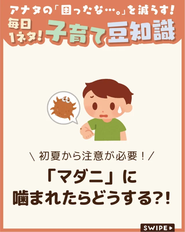 【「マダニ」に噛まれたらどうする？！】

暖かい季節は屋外での活動が増える一方、
「マダニ」による咬傷にも注意が必要です😱

「もし噛まれたらどうすればいいの？」
「自分で取っても大丈夫？」と不安に
なる人も多いですよね😫

今回は、マダニについて知っておきたいポイント
噛まれたときの対処法についてご紹介します。

ぜひ参考にしてみてくださいね👶🏻👧🏻👦🏻💕
.
.
꧁————————————————꧂

LEYON公式インスタグラムでは
アイテムやお得情報・子育てについてのコラムを更新中！

check!▷▶@leyon.official
プロフィールから商品詳細ページが確認できます👆

気になる投稿は保存で後からチェック✅
フォロー・いいねお待ちしております💕
꧁————————————————꧂

#マダニ #マダニに注意 #マダニの対処法 
#暮らし #子どものいる生活 #育児 #育児中 #育児奮闘中 #育児ママ #育児パパ #育児の悩み #育児を楽しむ #育児グッズ #ベビーグッズ #子どもご飯 #レシピ #子どもの栄養 #野菜不足 #食物繊維 #新型栄養欠乏 #鉄分不足 #鉄分補給 #離乳食 #幼児食 #栄養満点 #タンパク質 #ブレインフード