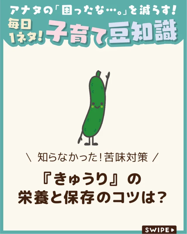 【『きゅうり』の栄養と保存のコツは？】

サラダの定番野菜「きゅうり」は、
パリッとした食感と爽やかな風味が
魅力の夏野菜です🥒😊

きゅうりは栄養がないと思われがちですが、
実は健康をサポートしてくれる栄養素を含みます✨😲

今回は、きゅうりの栄養や健康効果
についてご紹介します。

ぜひ参考にしてみてくださいね👶🏻👧🏻👦🏻💕
.
.
꧁————————————————꧂

LEYON公式インスタグラムでは
アイテムやお得情報・子育てについてのコラムを更新中！

check!▷▶@leyon.official
プロフィールから商品詳細ページが確認できます👆

気になる投稿は保存で後からチェック✅
フォロー・いいねお待ちしております💕
꧁————————————————꧂

#きゅうり #きゅうりの栄養 #きゅうりの保存方法
#暮らし #子どものいる生活 #育児 #育児中 #育児奮闘中 #育児ママ #育児パパ #育児の悩み #育児を楽しむ #育児グッズ #ベビーグッズ #子どもご飯 #レシピ #子どもの栄養 #野菜不足 #食物繊維 #新型栄養欠乏 #鉄分不足 #鉄分補給 #離乳食 #幼児食 #栄養満点 #タンパク質 #ブレインフード