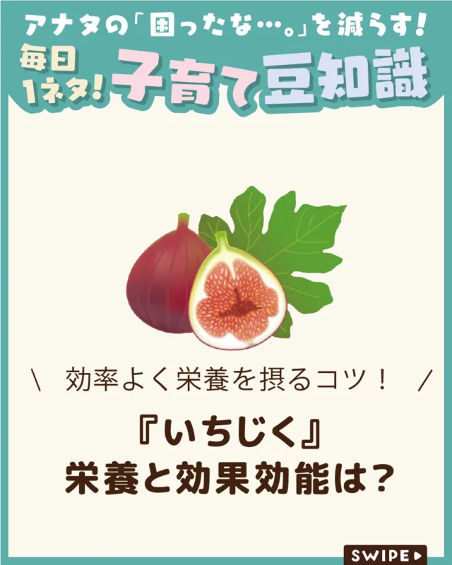【『いちじく』栄養と効果効能は？】

「不老不死の果物」とも呼ばれる
いちじくは、食物繊維やミネラルなどの
栄養が豊富な果物です😋

今回は、いちじくに含まれる栄養や
期待できる効果、おいしく栄養を摂る
食べ方についてご紹介します。

ぜひ参考にしてみてくださいね👶🏻👧🏻👦🏻💕
.
.
꧁————————————————꧂

LEYON公式インスタグラムでは
アイテムやお得情報・子育てについてのコラムを更新中！

check!▷▶@leyon.official
プロフィールから商品詳細ページが確認できます👆

気になる投稿は保存で後からチェック✅
フォロー・いいねお待ちしております💕
꧁————————————————꧂

#LEYON #子どもの栄養
#いちじく #無花果 #離乳食に