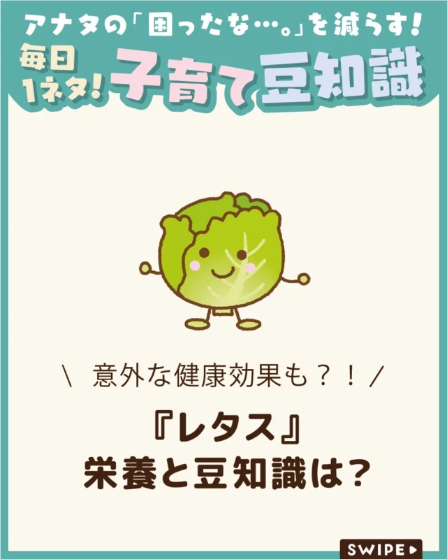 【『レタス』栄養と豆知識は？】

シャキシャキ食感が魅力のレタス😋

約95％が水分ですが、実はビタミンや
食物繊維などを含む栄養豊富な野菜です💧

生で食べるだけでなく、炒め物やスープなど
加熱してもおいしく食べられます。

今回は、レタスの栄養や豆知識をご紹介します。

ぜひ参考にしてみてくださいね👶🏻👧🏻👦🏻💕
.
.
꧁————————————————꧂

LEYON公式インスタグラムでは
アイテムやお得情報・子育てについてのコラムを更新中！

check!▷▶@leyon.official
プロフィールから商品詳細ページが確認できます👆

気になる投稿は保存で後からチェック✅
フォロー・いいねお待ちしております💕
꧁————————————————꧂

#LEYON #レタス 
#野菜の栄養 #食材豆知識 #健康ごはん