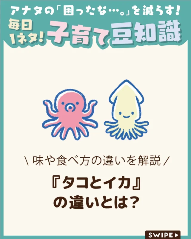 【『タコとイカ』の違いとは？】

どちらも海に暮らす軟体動物で、
見た目もよく似ていますが、
実は体の構造や動き、知能、食べ方など、
さまざまな違いがあります🐙🦑

今回は、意外と知らないタコとイカの
違いを、わかりやすくご紹介します♪

ぜひ参考にしてみてくださいね👶🏻👧🏻👦🏻💕
.
.
꧁————————————————꧂

LEYON公式インスタグラムでは
アイテムやお得情報・子育てについてのコラムを更新中！

check!▷▶@leyon.official
プロフィールから商品詳細ページが確認できます👆

気になる投稿は保存で後からチェック✅
フォロー・いいねお待ちしております💕
꧁————————————————꧂

#LEYON #タコ #イカ 
#海の生き物 #食べ物の豆知識