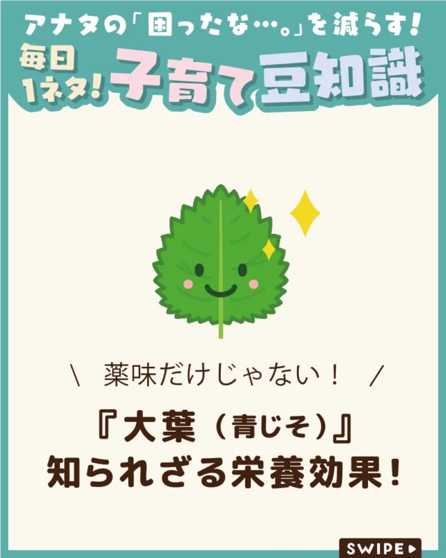 【『大葉（青じそ）』の知られざる栄養効果！】

爽やかな香りが魅力の大葉（青じそ）は、
薬味としておなじみですが、
実は栄養豊富な食材で、
毎日の健康づくりにも役立ちます😊✨

今回は、大葉に含まれる
栄養や期待できる健康効果、
についてご紹介します。

ぜひ参考にしてみてくださいね👶🏻👧🏻👦🏻💕
.
.
꧁————————————————꧂

LEYON公式インスタグラムでは
アイテムやお得情報・子育てについてのコラムを更新中！

check!▷▶@leyon.official
プロフィールから商品詳細ページが確認できます👆

気になる投稿は保存で後からチェック✅
フォロー・いいねお待ちしております💕
꧁————————————————꧂

#LEYON #大葉の栄養
#食材の豆知識
#健康ごはん
#旬の野菜