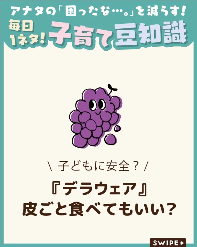 【『デラウェア』皮ごと食べてもいい？】

小さな子どもが食べるときは、
皮や表面の白い粉、農薬などが
気になりますよね🍇😲

今回は、デラウェアを皮ごと食べるときの
注意点や栄養面のメリット、皮ごと
楽しめる食べ方についてご紹介します。

ぜひ参考にしてみてくださいね👶🏻👧🏻👦🏻💕
.
.
꧁————————————————꧂

LEYON公式インスタグラムでは
アイテムやお得情報・子育てについてのコラムを更新中！

check!▷▶@leyon.official
プロフィールから商品詳細ページが確認できます👆

気になる投稿は保存で後からチェック✅
フォロー・いいねお待ちしております💕
꧁————————————————꧂

#LEYON #デラウェア
 #ぶどう #ぶどうレシピ #フルーツのある暮らし