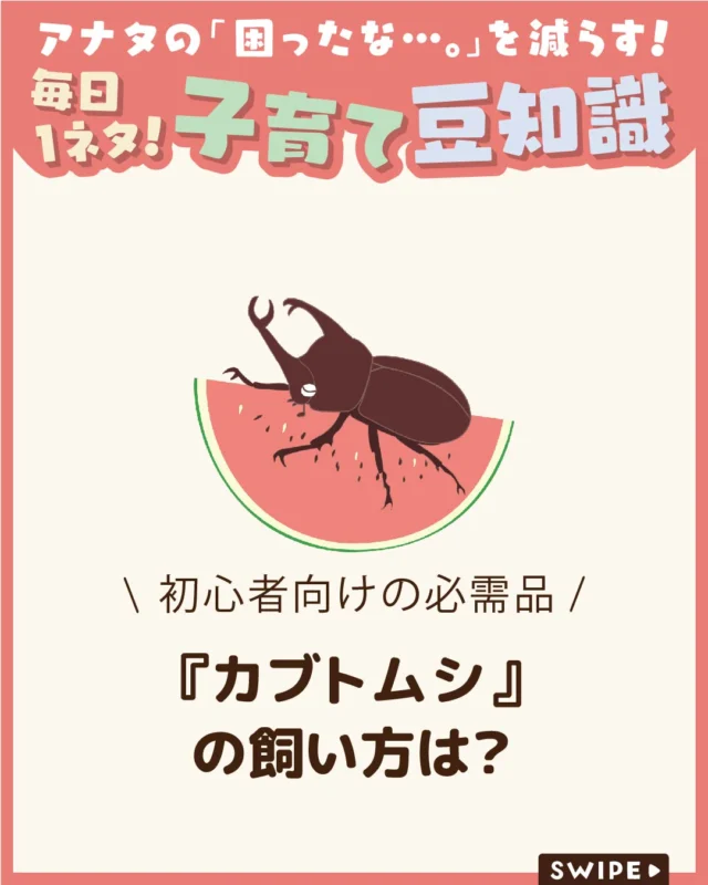 【『カブトムシ』の飼い方は？】

「昆虫の王様」と呼ばれ、子どもたちに
大人気のカブトムシ🌳✨

購入したり、野生のカブトムシを
捕まえたりしたものの、
「どうやって飼えばいいの？」と
悩む方も多いのでは？🤔

今回は、初心者でも分かりやすい
カブトムシの成虫の飼育方法をご紹介します。

ぜひ参考にしてみてくださいね👶🏻👧🏻👦🏻💕
.
.
꧁————————————————꧂

LEYON公式インスタグラムでは
アイテムやお得情報・子育てについてのコラムを更新中！

check!▷▶@leyon.official
プロフィールから商品詳細ページが確認できます👆

気になる投稿は保存で後からチェック✅
フォロー・いいねお待ちしております💕
꧁————————————————꧂

#LEYON #カブトムシ飼育 #昆虫飼育 #夏の思い出 #子どもと楽しむ